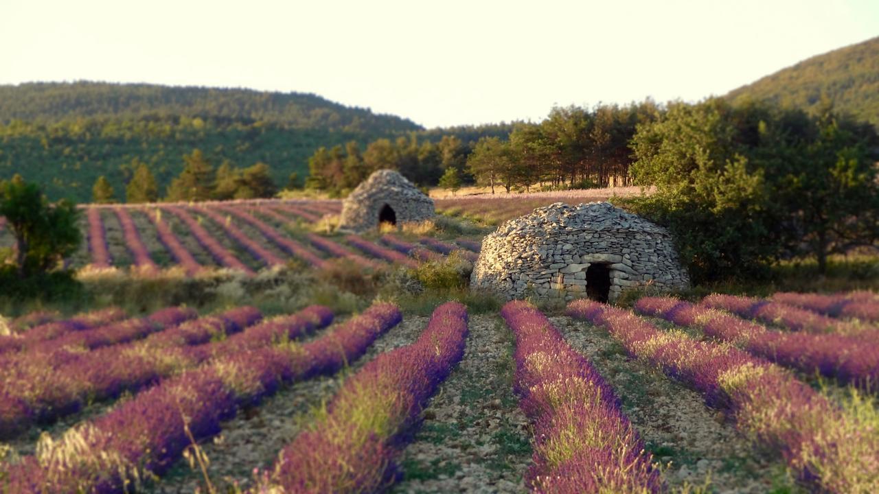 Chateau Ferrassieres Exteriör bild